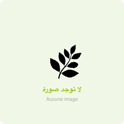 مقطر زعتر
